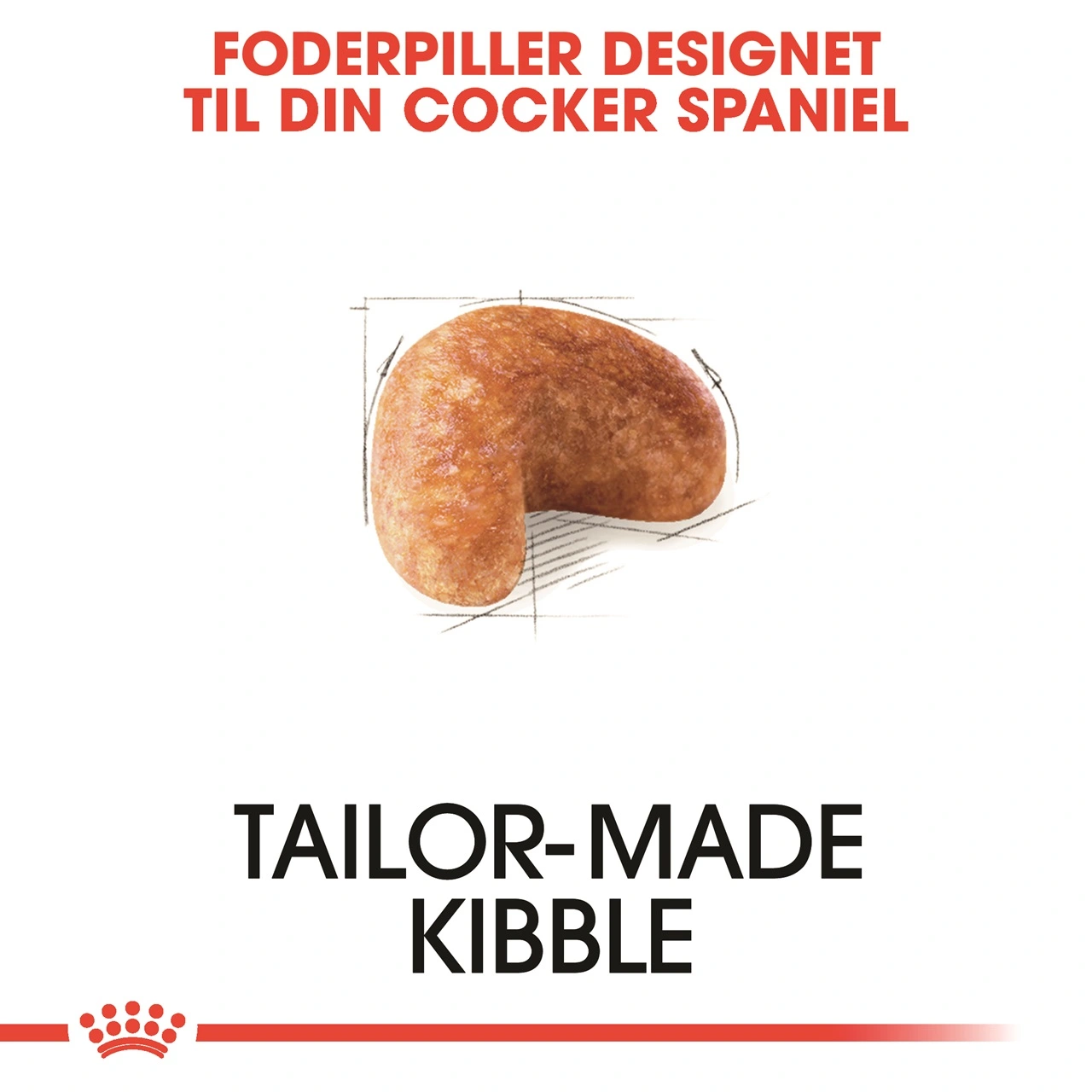Royal Canin Cocker Spaniel Adult 3 kg - tørfoder til voksne hunde